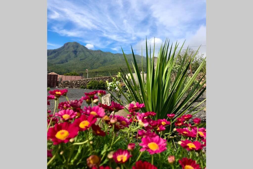 Casita La Rosa Villa El Paso Bagian luar foto